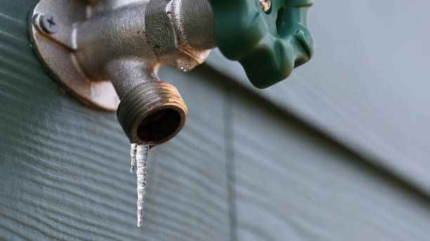 Best Plumbing Inspection Services  in Speedway, IN